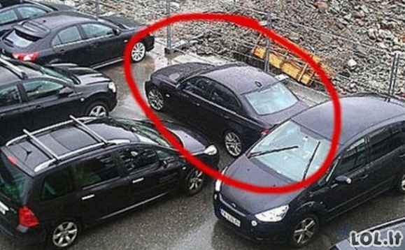 Vairuotojai, kurie buvo nubausti už nedovanotiną parkavimąsi [GALERIJA]