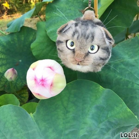 Naujausia mada iš Japonijos - katės formos kuprinės