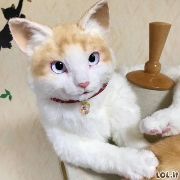 Naujausia mada iš Japonijos - katės formos kuprinės