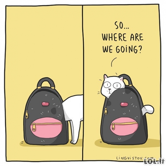 Kur keliaujam?