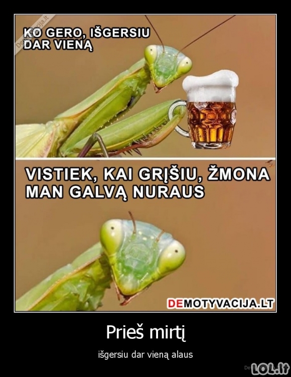 Dar vieną alaus