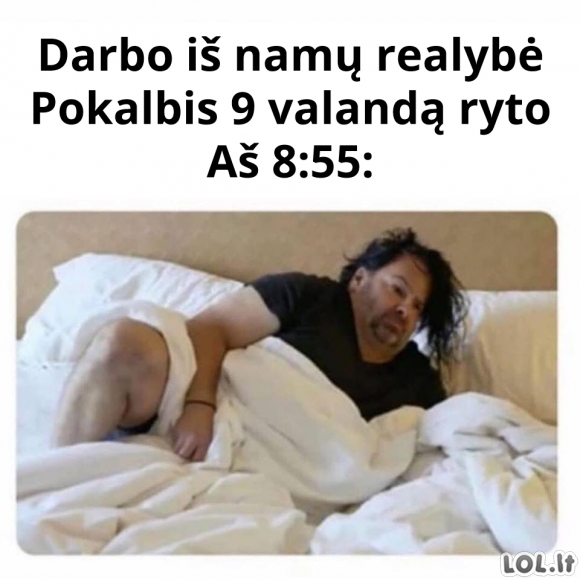 Darbo pokalbis iš namų