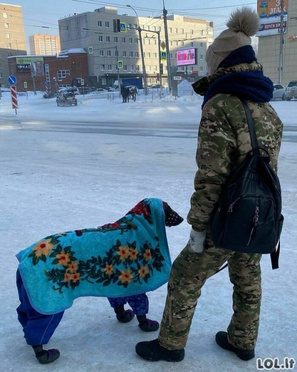 Rusijoje gali būti pakankamai šalta [GALERIJA]