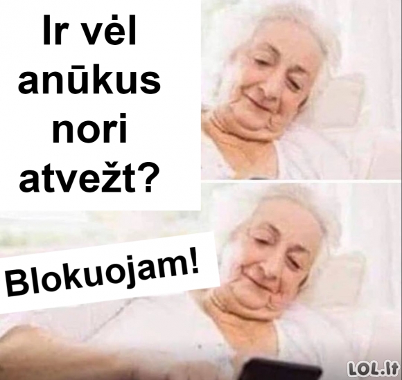 Anūkai pas močiutę