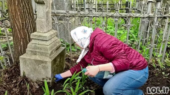 Ji pastebėjo senyvo amžiaus užsienietę, tvarkančią tėvų kapą. Sekė ją ir atskleidė ilgai slėptą paslaptį!