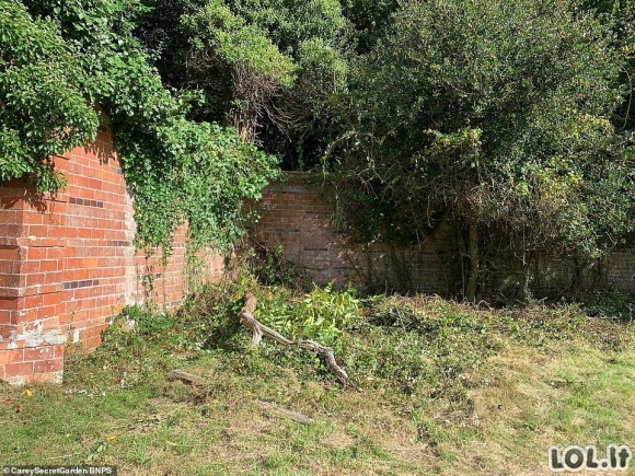 Vyras nusipirko namą ir sode rado duris, kurių niekas neatidarė 40 metų: Dabar iš to uždirba!