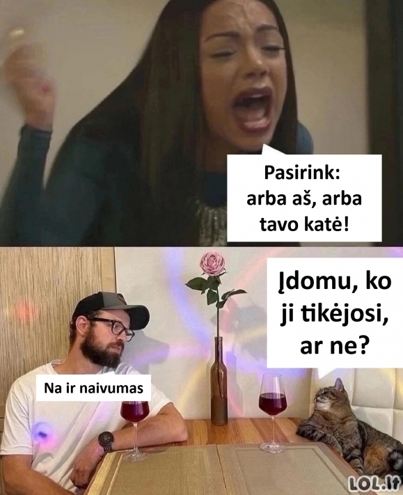 Santykių dilema: Kai mergina konkuruoja su kate - ką pasirinksi?