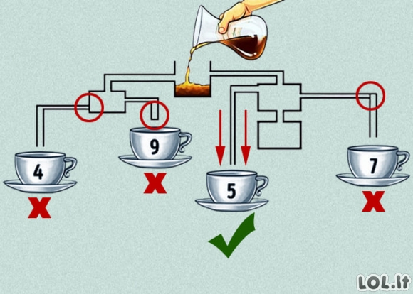 Tik aukščiausio intelekto žmonės gali tai pasakyti: kuris puodelis prisipildys pirmas?
