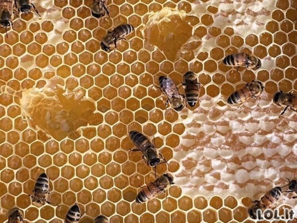 10 produktų, kuriuos galima laikyti beveik amžinai. Ar žinojote?