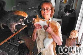 Moteris su daug kačių