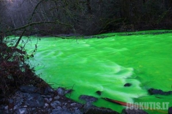 Žalioji upė (5 nuotraukos)
