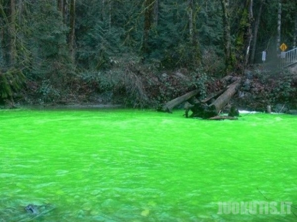 Žalioji upė (5 nuotraukos)