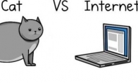 Katė prieš internetą