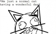 Normali katė