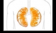 Šventiniai plaučiai