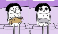 Skirtumas tarp kačių ir šunų