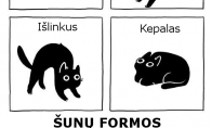 Kačių ir šunų formos