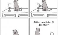 Kačių logika