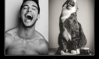 Vyrų ir katinų panašumas