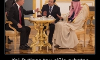 Putino arbatėlė