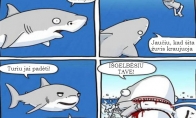 Ryklys gelbėtojas