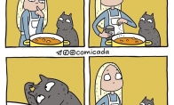 Katinas prisideda prie sriubos gaminimo