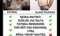 Abu turi savo pliusų, bet vienas visgi geresnis