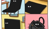 Juodas katinas