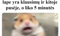 Klausimai egzamino lape