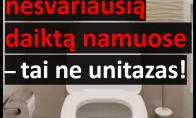 Mokslininkai įvardijo nešvariausią daiktą namuose – tai ne unitazas!