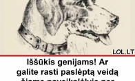 Iššūkis genijams! Ar galite rasti paslėptą veidą šiame paveikslėlyje per 9 sekundes? Tik 1 procentas žmonių sugeba tai padaryti