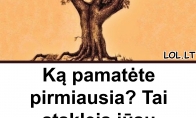 Ką pamatėte pirmiausia? Tai atskleis jūsų stipriausias savybes!