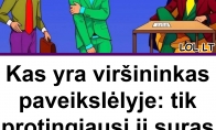 Kas yra viršininkas paveikslėlyje: tik protingiausi jį suras per 5 sekundes