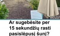 Ar sugebėsite per 15 sekundžių rasti pasislėpusį šunį? Tik patys akyliausi įveikia šį optinį iššūkį!