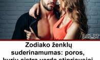 Zodiako ženklų suderinamumas: poros, kurių aistra verda stipriausiai. Kurie Zodiako ženklai turi karščiausią suderinamumą?