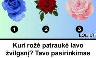 Kuri rožė patraukė tavo žvilgsnį? Tavo pasirinkimas išduos, koks žmogus tau tiktų idealiausiai