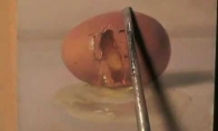 Dailininkas "daužo" nupieštą kiaušinį