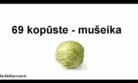 69 kopuste - museika