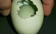Kiaušinių matrioška