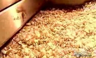 Kaip gaminami bulvių traškučiai