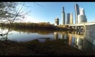 Beaver in center of Moscow | Бобер в центре Москвы