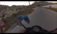 Motociklininkas lenktyniauja su savo papūga