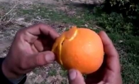 Kaip vyriškai nulupti apelsiną?