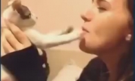 Kai katinas nenori bučiuotis