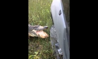 Aligatorius patvarko mašinos bamperį