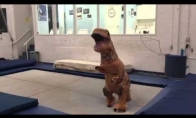 Dinozauras šokinėja