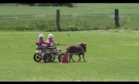 Ponis vežioja vaikus