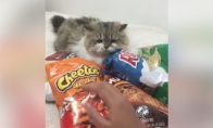 „Neliesk mano čipsų!“