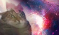 Katė ir kosmosas tampa visuma