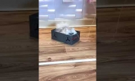 Katinas ir jo dėžė